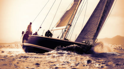 contact simply alpha